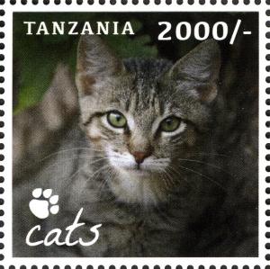Colnect-2427-357-Domestic-Cat-Felis-silvestris-catus.jpg
