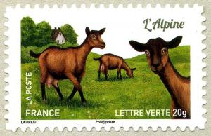 Colnect-2556-627-Alpine-Goat-Capra-aegagrus-hircus.jpg