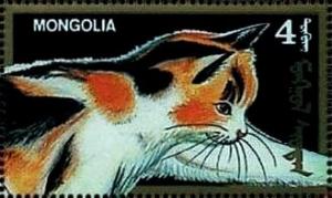 Colnect-5883-554-Domestic-Cat-Felis-silvestris-catus.jpg