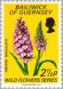 Colnect-125-581-Orchis-maculata---Heath-Spotted-Orchid.jpg