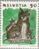 Colnect-141-022-Domestic-Cat-Felis-silvestris-catus.jpg