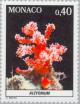 Colnect-148-761-Finger-Leather-Coral-Alcyonium-sp.jpg