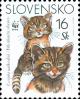 Colnect-1940-585-European-Wild-Cat-Felis-sylvestris-sylvestris.jpg