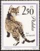 Colnect-452-121-Domestic-Cat-Felis-silvestris-catus.jpg