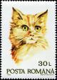 Colnect-4900-227-Domestic-Cat-Felis-silvestris-catus.jpg
