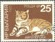 Colnect-615-196-Domestic-Cat-Felis-silvestris-catus.jpg