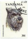 Colnect-1080-277-Minature-Schnauzer-Canis-lupus-familiaris.jpg