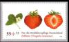 Colnect-565-578-Garden-strawberry-Fragaria-ananassa.jpg