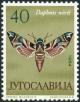 Colnect-5670-626-Oleander-Hawk-moth-Deilephila-nerii.jpg