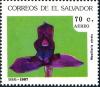 Colnect-4033-097-Maxillaria-atrata.jpg