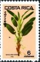 Colnect-2197-781-Maxillaria-especie.jpg