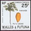 Colnect-900-734-Papaya-Carica-papaya.jpg