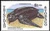 Colnect-2363-308-Leatherback-Sea-Turtle-Dermochelys-coriacea.jpg