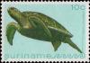 Colnect-2564-067-Green-Sea-Turtle-Chelonia-mydas.jpg