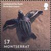 Colnect-2691-614-Leatherback-Sea-Turtle-Dermochelys-coriacea.jpg