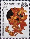 Colnect-4302-399-Begonia-bertini-bociviensis.jpg