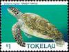 Colnect-4596-368-Green-Sea-Turtle-Chelonia-mydas.jpg