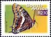 Colnect-514-454-Two-tailed-Pasha-Charaxes-jasius-ssp-saturnus.jpg