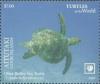 Colnect-6578-286-Olive-Ridley-Sea-Turtle-Lepidochelys-olivacea.jpg