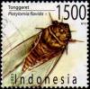 Colnect-976-142-Cicada-Platylomia-flavida.jpg