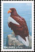 Colnect-1631-921-Steller-s-Sea-eagle-Haliaeetus-pelagicus.jpg
