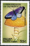 Colnect-3028-973-Armillaria-straminea-and-Calastrina-argiolus-butterfly.jpg