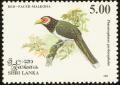 Colnect-862-161-Red-faced-Malkoha-Phaenicophaeus-pyrrhocephalus.jpg
