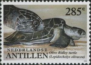 Colnect-1014-768-Olive-Ridley-Sea-Turtle-Lepidochelys-olivacea.jpg