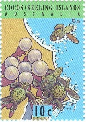Colnect-1538-538-Green-Sea-Turtle-Chelonia-mydas.jpg