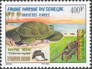 Colnect-1618-852-Green-Sea-Turtle-Chelonia-mydas.jpg