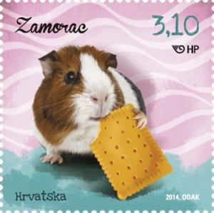 Colnect-1999-129-Guinea-Pig-Cavia-porcellus.jpg