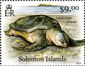 Colnect-2570-590-Olive-Ridley-Sea-Turtle-Lepidochelys-olivacae.jpg