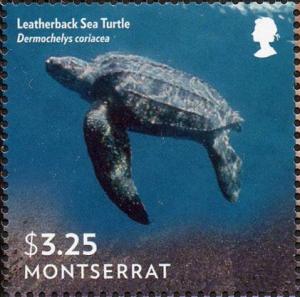 Colnect-2691-609-Leatherback-Sea-Turtle-Dermochelys-coriacea.jpg
