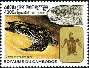 Colnect-3018-405-Leatherback-Sea-Turtle-Dermochelys-coriacea.jpg
