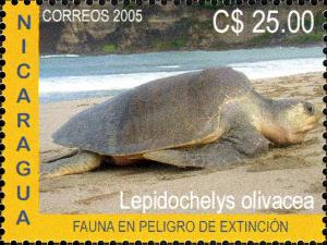 Colnect-3063-588-Olive-Ridley-Sea-Turtle-Lepidochelys-olivacea.jpg