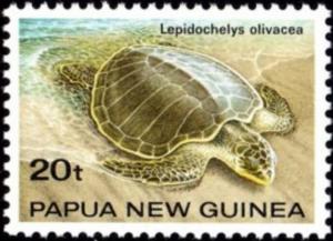 Colnect-3121-305-Olive-Ridley-Sea-Turtle-Lepidochelys-olivacea.jpg