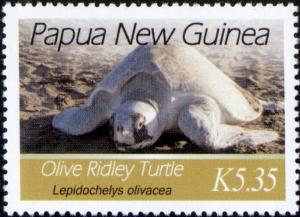 Colnect-3142-998-Olive-Ridley-Sea-Turtle-Lepidochelys-olivacea.jpg