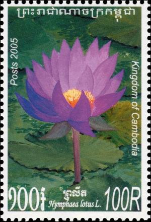 Colnect-3988-419-Nymphaea-Lotus-in-Color-Purple.jpg
