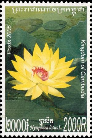 Colnect-3988-422-Nymphaea-Lotus-in-Color-Yellow.jpg