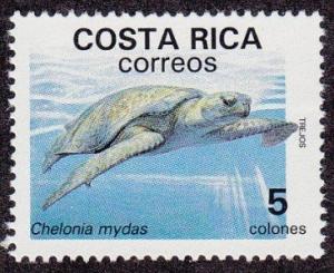 Colnect-4842-543-Green-Sea-Turtle-Chelonia-mydas.jpg