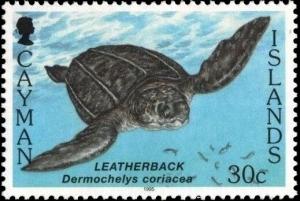 Colnect-5585-202-Leatherback-Sea-Turtle-Dermochelys-coriacea.jpg