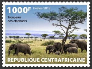 Colnect-5664-354-African-Savanna-Elephant-Loxodonta-africana.jpg