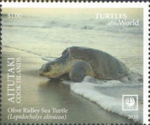 Colnect-6578-289-Olive-Ridley-Sea-Turtle-Lepidochelys-olivacea.jpg