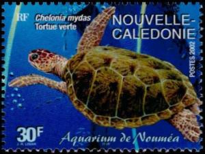 Colnect-858-292-Green-Sea-Turtle-Chelonia-mydas.jpg