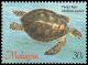 Colnect-1052-685-Green-Sea-Turtle-Chelonia-mydas.jpg