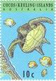 Colnect-1538-542-Green-Sea-Turtle-Chelonia-mydas.jpg