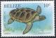 Colnect-2184-932-Green-Sea-Turtle-Chelonia-mydas.jpg