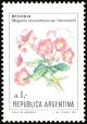 Colnect-4902-555-Begonia-Begonia-micranthera.jpg