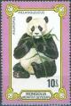 Colnect-905-963-Giant-Panda-Ailuropoda-melanoleuca.jpg