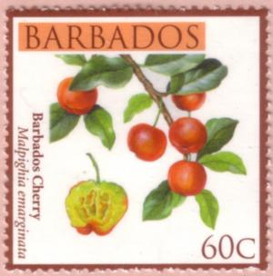 Colnect-1288-088-Barbados-cherry.jpg